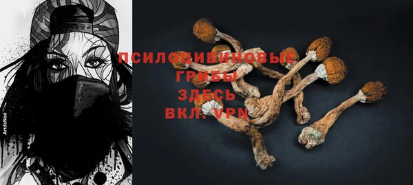 таблы Гусиноозёрск