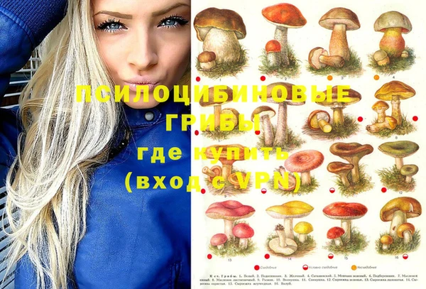 экстази Гусев