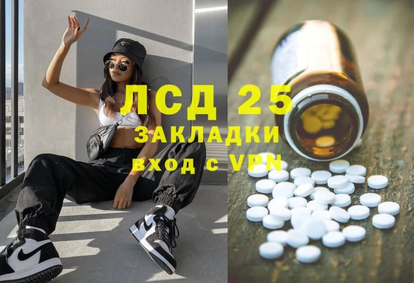 экстази Гусев