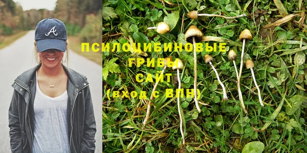 каннабис Гусь-Хрустальный