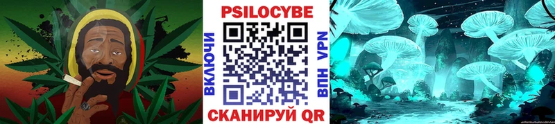 Псилоцибиновые грибы Psilocybine cubensis  Купить где  Бердск 